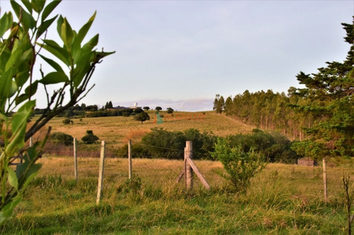 Campo De 6 Has A 25 Km. De San Carlos- Ref: 3447