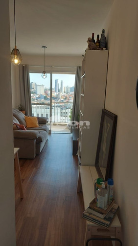 Imagem 7 de 15 de Apartamento - Casa Branca - Ref: 2145 - V-2145
