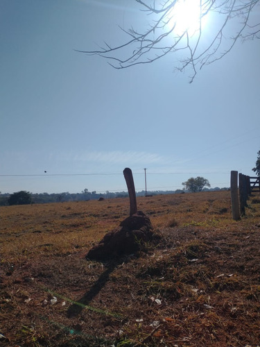 Imagem 13 de 13 de Fazenda Para Pecuária A Venda Na Região De Itapagipe / Campina Verde-mg, Com 57,5 Alqueirao, Benfeitorias Completas, Rio E Represa - Fa00395 - 70075361