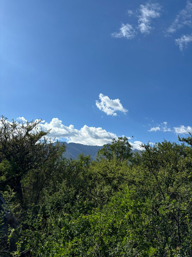 Terreno 3 Hectáreas En Las Rabonas, Traslasierra (ref 208)