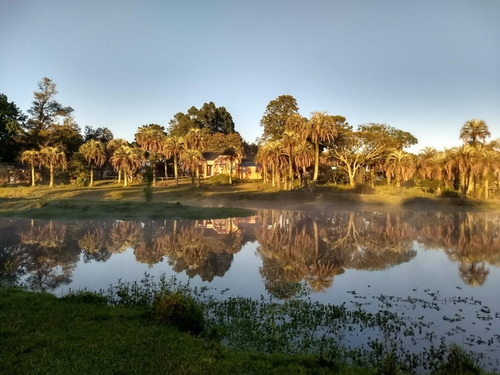 Imagen 1 de 14 de Casa De Campo