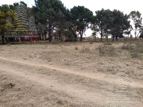 Terreno En Calle El Cangrejo -paraje Pavon-