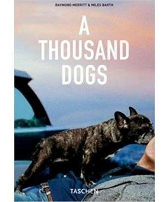 A Thousand Dogs