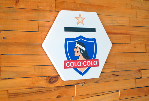Cuadro Hexagonal De Colo-colo, Bastidor De Madera De 30cm.