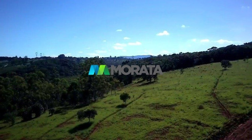 Imagem 10 de 15 de Fazenda - Zona Rural - Ref: 5459 - V-mta5459