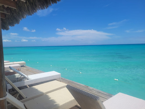 Bello Apartamento En La Playa De Dominicus!