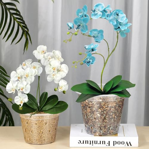 Macetas Transparentes Para Orquídeas Con Agujeros, Juego De