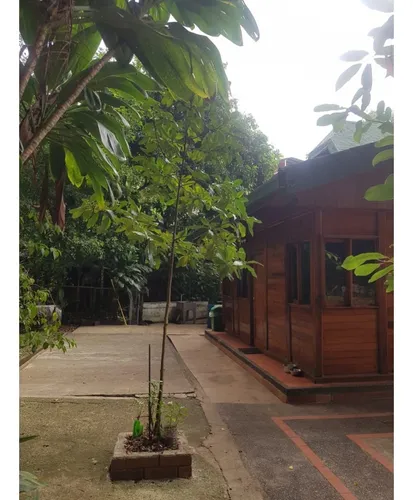Venta Casa Lote 7684.50 Mts2 En La Buitrera Sur De Cali,12723-01.