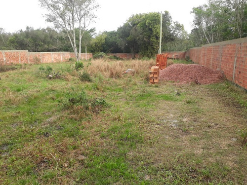 Imagem 2 de 7 de Terreno - Te00036 - 32893250