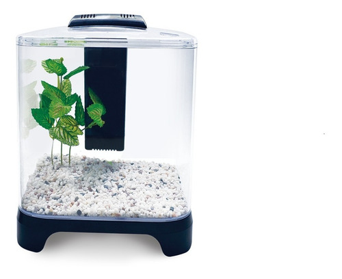 Imagen 3 de 3 de Acuario Mini De 6 Litros Pecera Betta