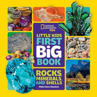 Libro Little Kids First Big Book Of Rocks, Minerals And S...
