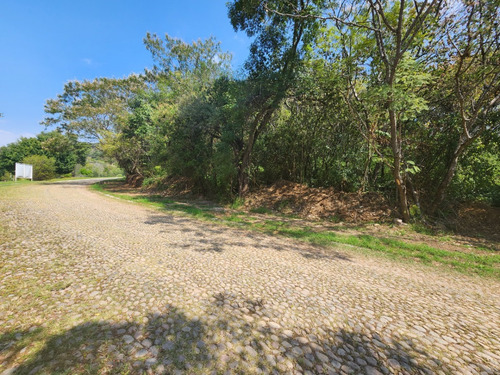 Venta Lote Glorieta 1 Justo En El Acceso Y Cerca De Amenidades Con Proyecto Incluído En Fracc Rancho San Diego Ixtapan De La Sal Edomex