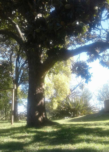 Imagen 7 de 14 de Quinta Chacra Casa Campo En Venta En Ranchos - Oportunidad