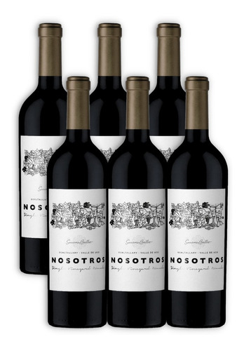 Nosotros S.v Nómade 2019 Vino Malbec Caja X6u 750ml Mendoza