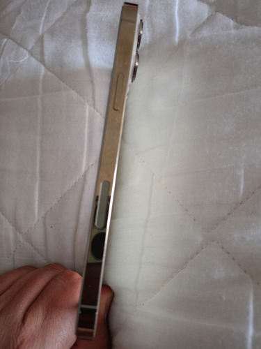 Apple iPhone 13 Pro Max (256 Gb) - Oro (Usado)