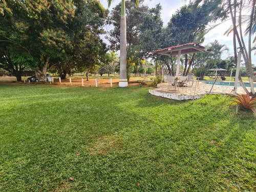 Imagen 11 de 13 de En Venta Finca, En Sabana Del Medio, Barrera