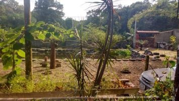 Chácara Com Área De 2 Mil Mts Em Itanhaém Sp - 6821 | Npc