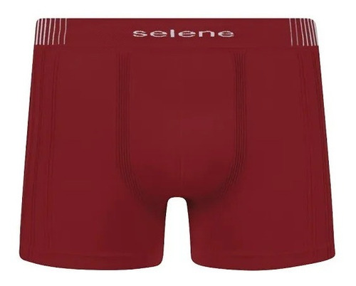 Imagem 6 de 10 de Kit 5 Cuecas Boxers Selene Sem Costura Em Poliamida