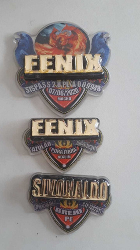 Imagem 1 de 8 de Kit Placas De Pasarinho