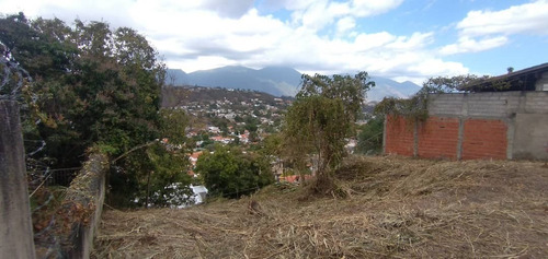 Imagen 7 de 7 de Terreno En Prados Del Este