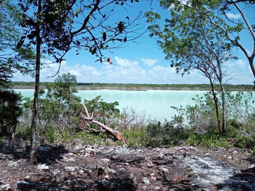 Imagen 8 de 18 de Terreno En Venta Frente A Laguna Chile Verde Cerca De Chetumal Em02021