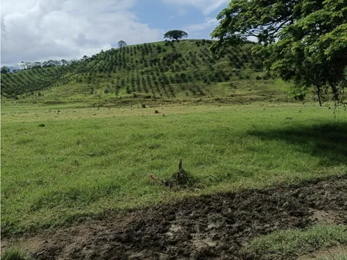 Se Vende Finca Vía Barragan - Rio Verde