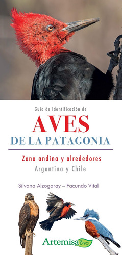 Guia De Identificacion De Aves De La Patagonia