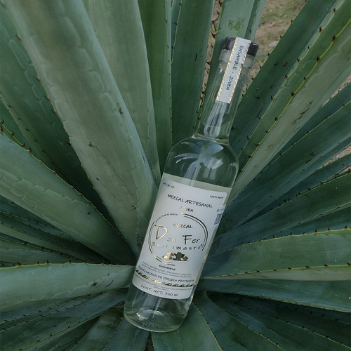 Mezcal Artesanal Don Fer Bustamante | Ensamble Joven |