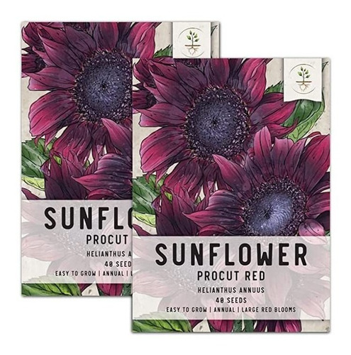 Seed Needs, Procut Red Sunflower (helianthus Annuus) Paquet.