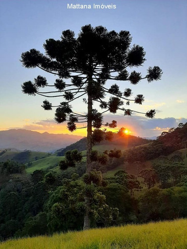 Imagem 8 de 13 de Terreno Em São Bento Do Sapucaí-sp - T107 - 34829429