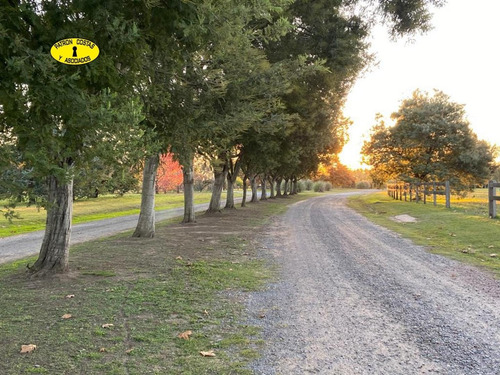 Imagen 4 de 7 de 2766ml- Chacra 10.000 M2 Ubicacion Central