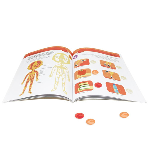 Imagem 2 de 6 de Montessori Meu Primeiro Livro de Atividades... Corpo Humano (Escolinha), de Piroddi, Chiara. Editora Todolivro Distribuidora Ltda., capa mole em português, 2020