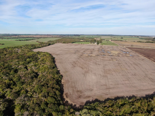 Imagen 4 de 10 de Campo En Venta Sobre Ruta Y Arroyo Navegable