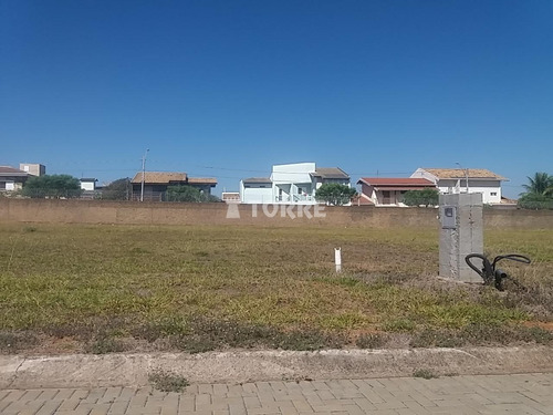 Imagem 13 de 15 de Terreno À Venda Em Vila Modesto Fernandes - Te003009