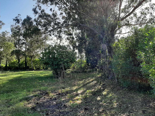 Excelente Lote En Venta De 1875 M² - Miramar Pcia De Buenos