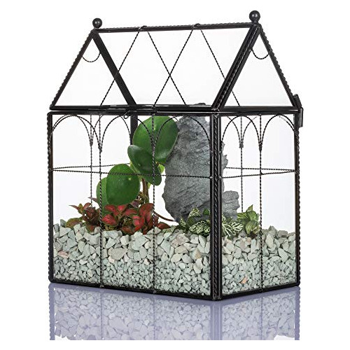 Terrario De Vidrio Negro De 7.5 X 4.9 X 9.5 Pulgadas Ta...