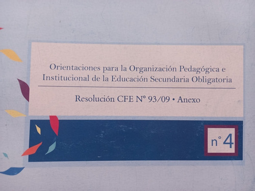 Orientaciones Para La Organización Pedagógica E Instituciona