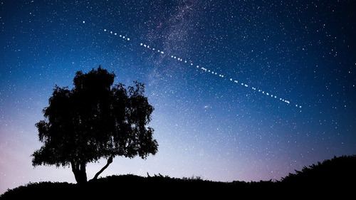 Alquiler Starlink Internet Satelital Por Dia Semana Mes