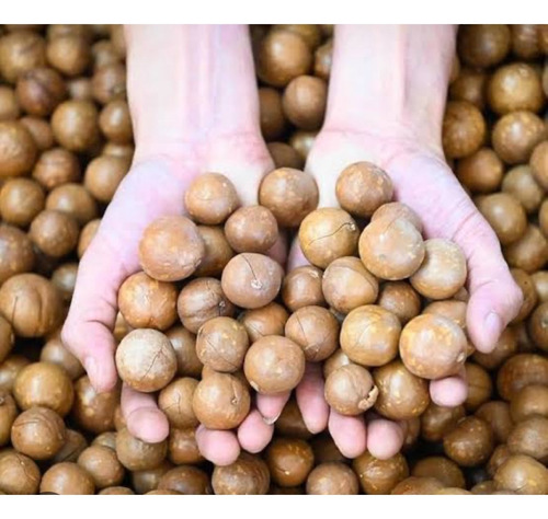 Nuez De Macadamia