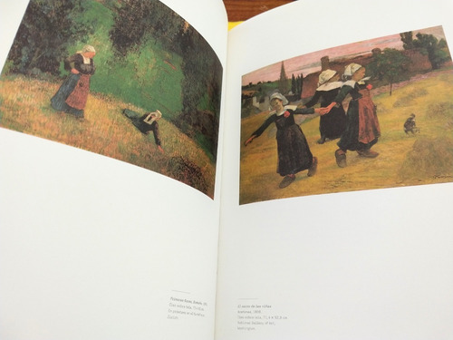 Imagen 5 de 10 de Libro Paul Gauguin
