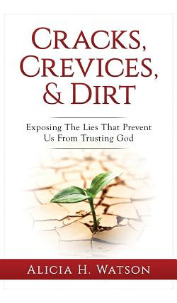 Libro Cracks, Crevices, And Dirt: Exposing The Lies That ...