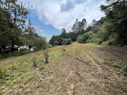 Imagen 4 de 6 de Venta Terreno 0 Ambiente Ignacio Allende