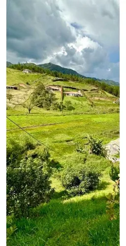 Finca De Producción En Venta En San Vicente, Antioquia