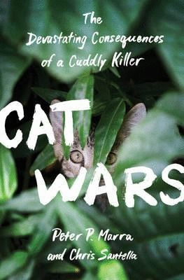 Libro Cat Wars Ingles