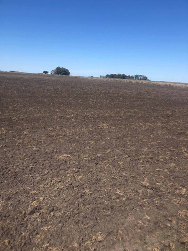 Imagen 11 de 13 de Campo De 170 Hectáreas
