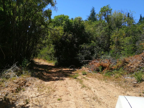 Vende Parcelas Fundo El Olivo Con Rol Propio Aprobadas Sag