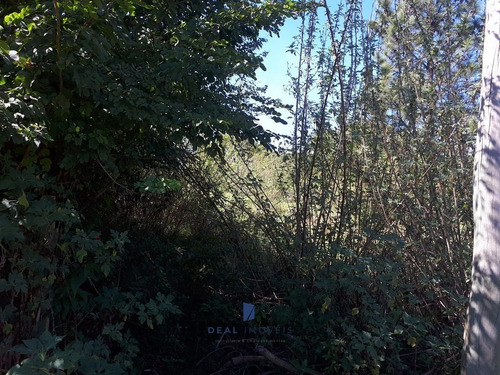 Imagem 3 de 5 de Terreno 1.000m² Lago De São José Mairinque - Sp - 00313-1