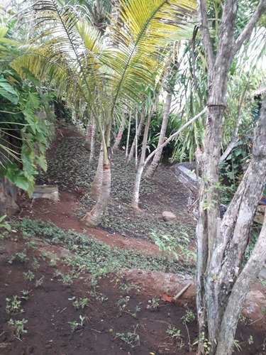Imagem 3 de 5 de Jm Serviços Diversos