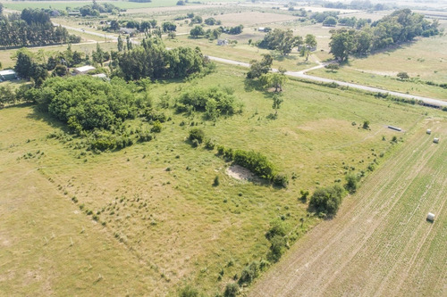 Chacras Venta 4,7 Has Residenciales-productivas Carmelo