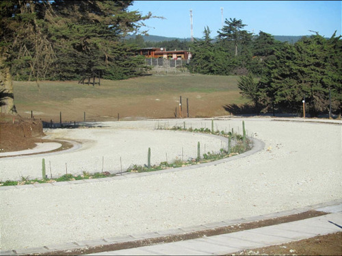 Condominio Olas De Punta De Lobos